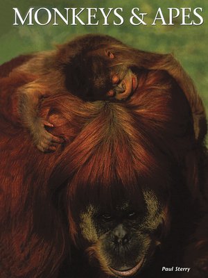 cover image of Monkeys & Apes
